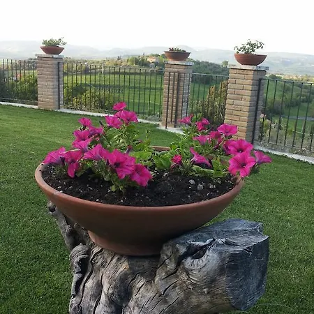 B&B La Piaggia Montemerano Kamer foto