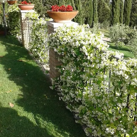 B&B La Piaggia Montemerano Buitenkant foto