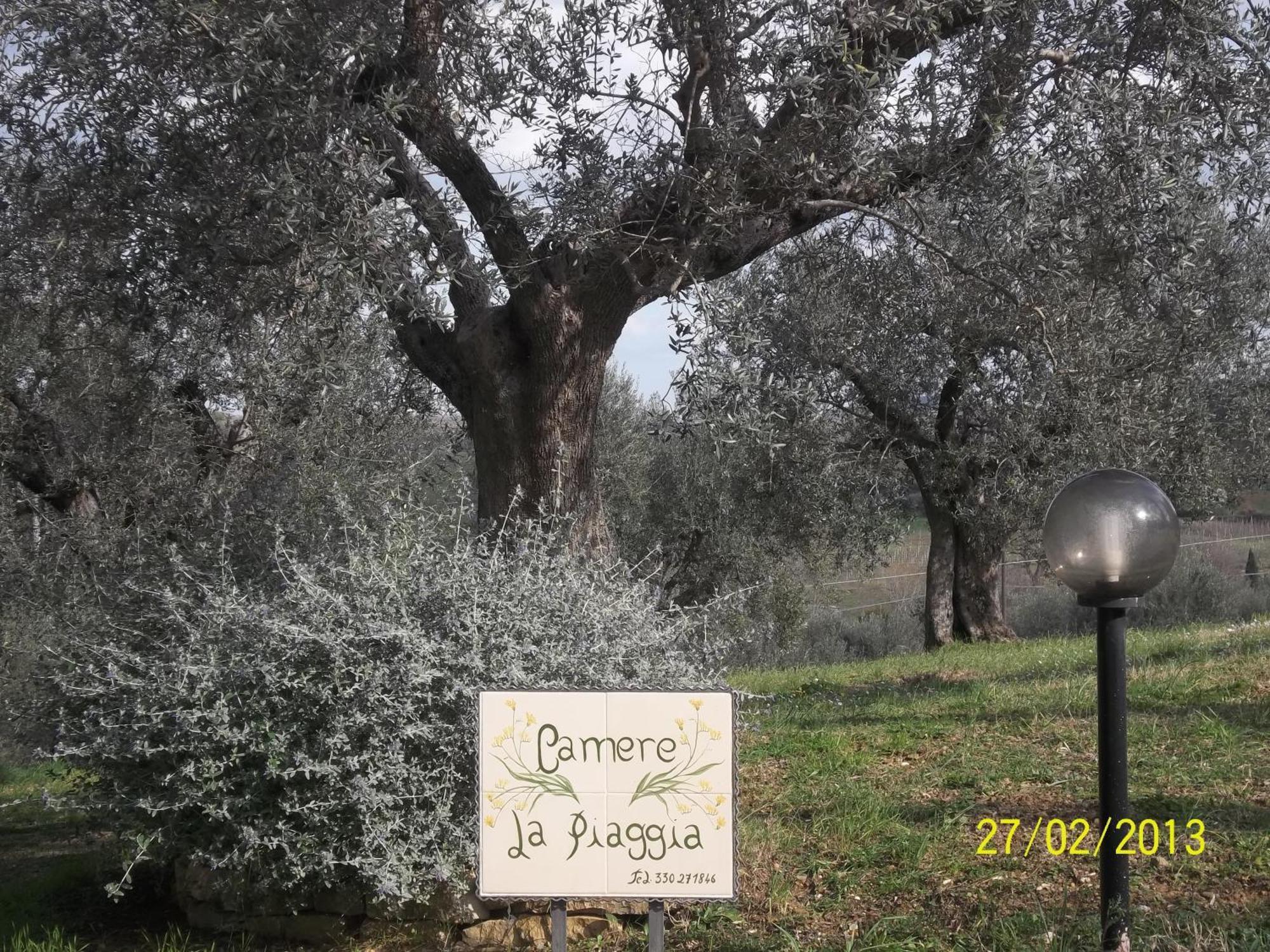 La Piaggia Bed & Breakfast