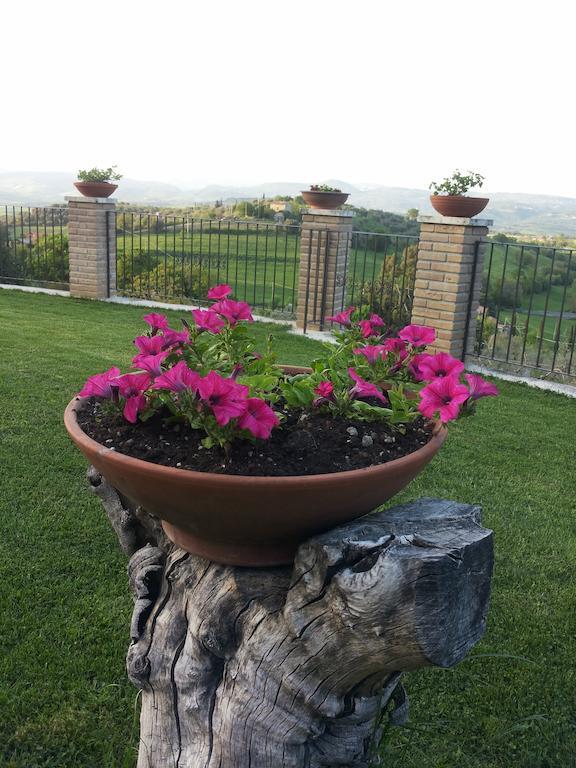 La Piaggia Bed & Breakfast Montemerano