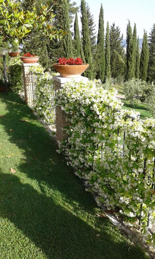 Bed & Breakfast La Piaggia